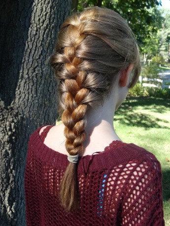 Classic_French_Braid_(2)